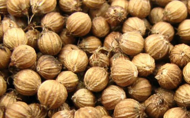 Coriander Seeds