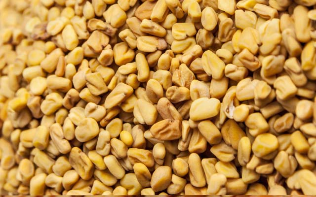 Fenugreek