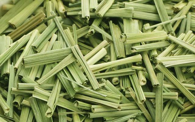 Lemongrass